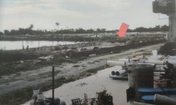 4-屏東分署123聯拍會34登場　枋山魚塭最後一拍歡迎投標 圖1